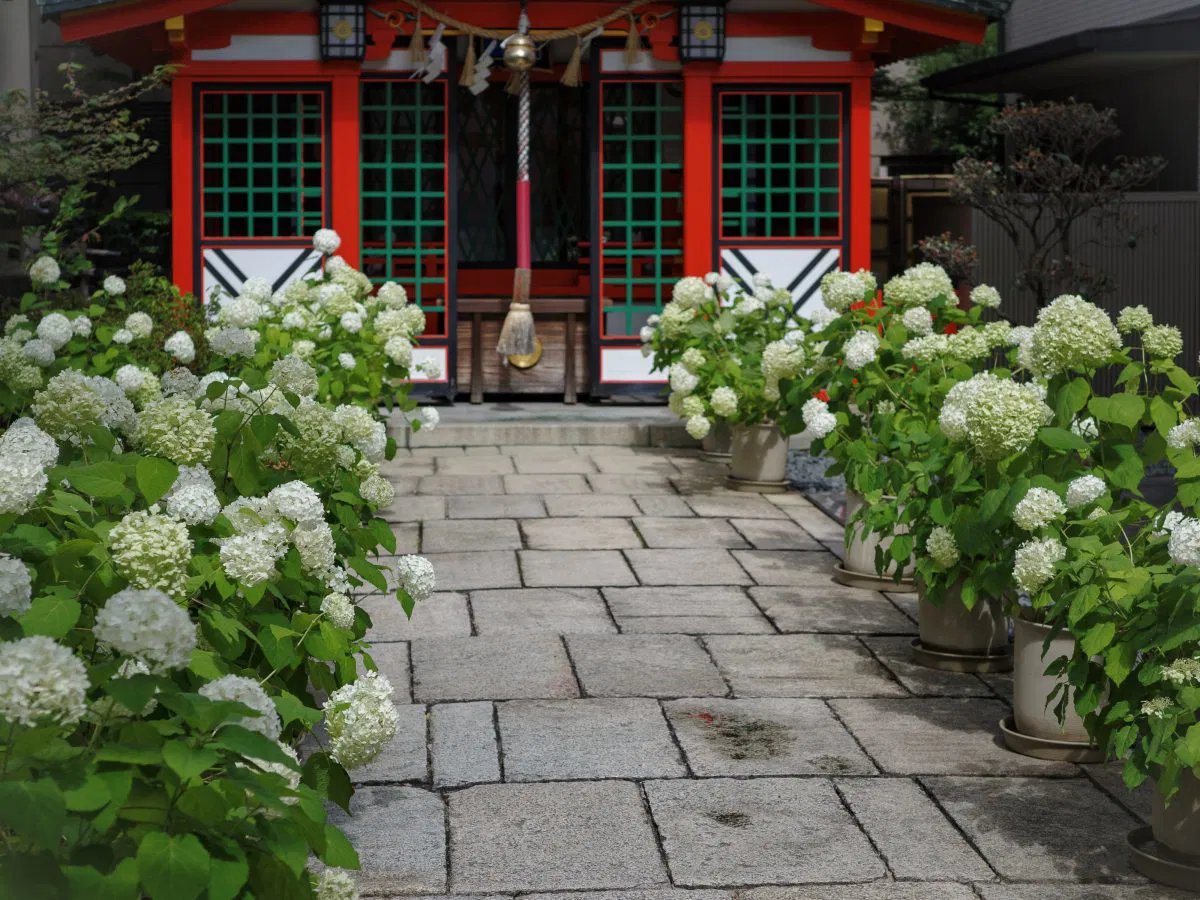 ⛩️ 이카스리 신사 (이카스리 진자) 이미지 6